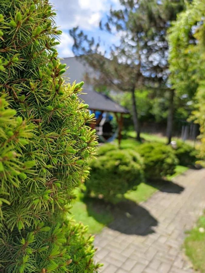 Penzion Roal Pieniny Hotel Spisska Stara Ves Exterior photo