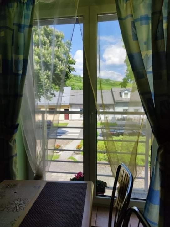 Penzion Roal Pieniny Hotel Spisska Stara Ves Exterior photo