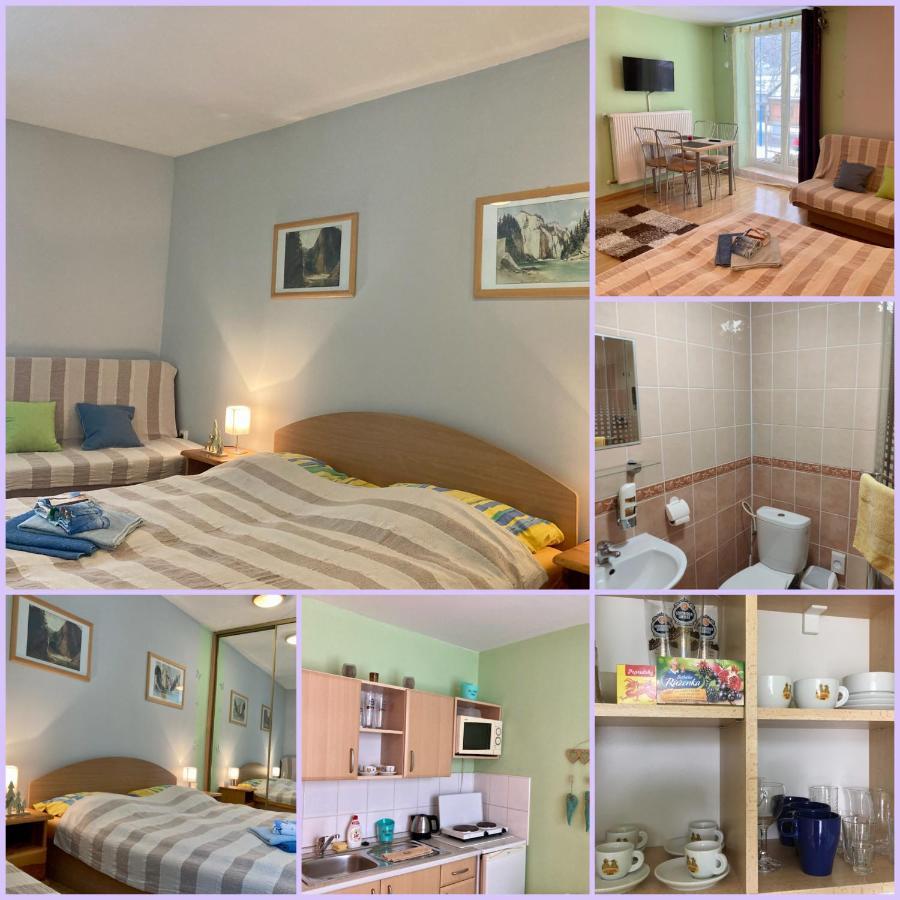 Penzion Roal Pieniny Hotel Spisska Stara Ves Room photo
