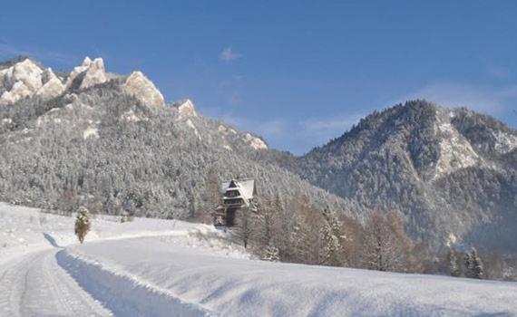 Penzion Roal Pieniny Hotel Spisska Stara Ves Exterior photo