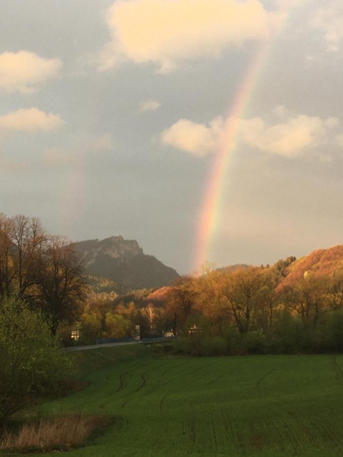 Penzion Roal Pieniny Hotel Spisska Stara Ves Exterior photo
