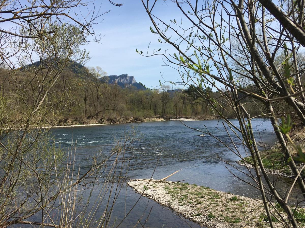 Penzion Roal Pieniny Hotel Spisska Stara Ves Exterior photo